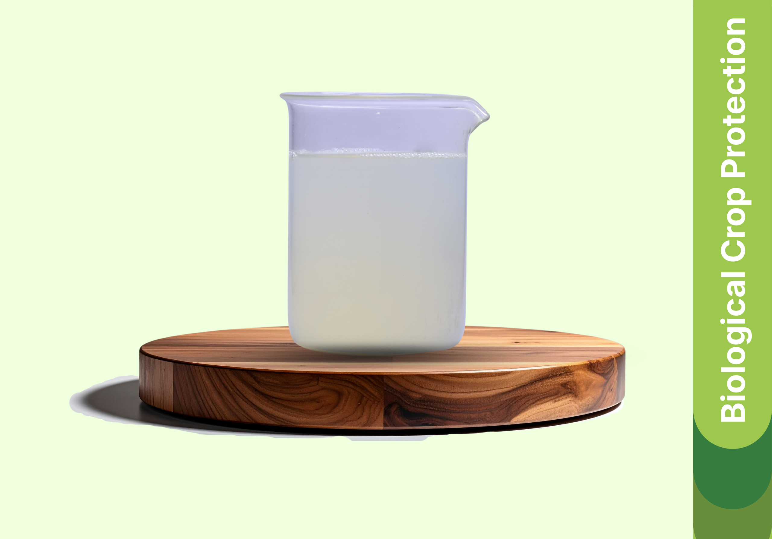 White Grub Management